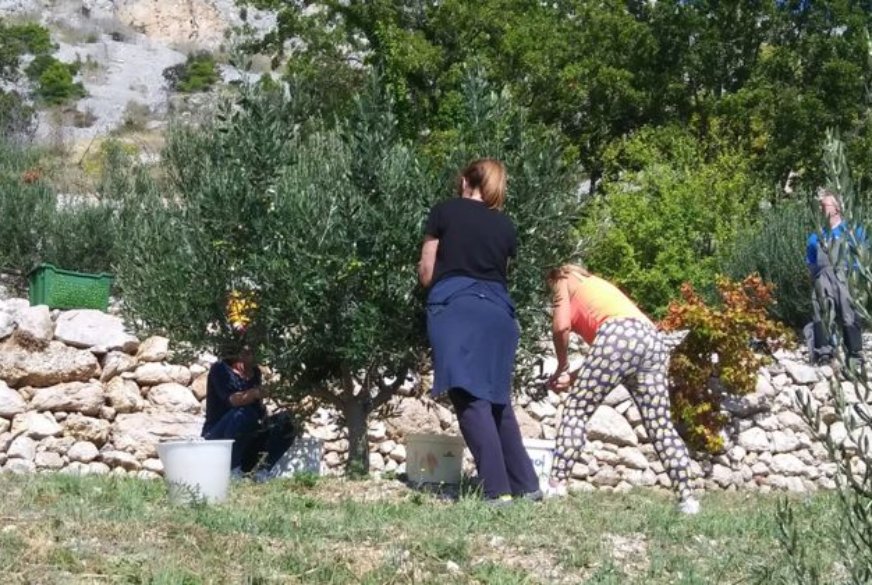 Nakon Dugog Rata, o financiranju projekata i u Omišu – Obiteljsko poljoprivredno gospodarstvo Kovačić Vanda