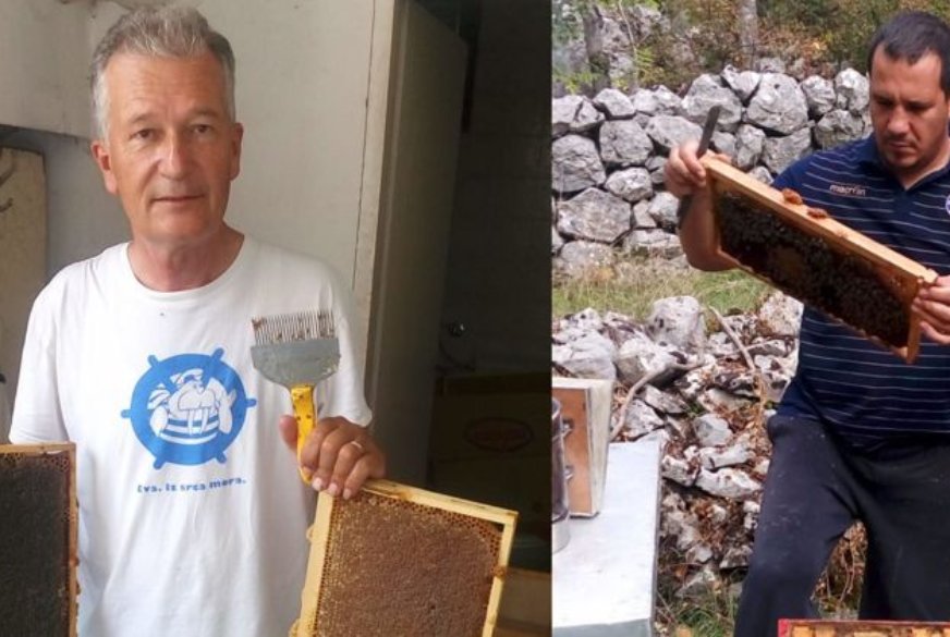 Primjer dobre prakse s 2. nacionalnog natječaja podmjere „Potpora razvoju malih poljoprivrednih gospodarstava“ – OPG Mate Bušelić