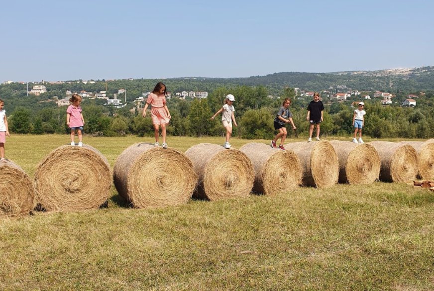 Pročelnik Splitsko-dalmatinske županije posjetio OPG-ove s područja LAG-a “Adrion”