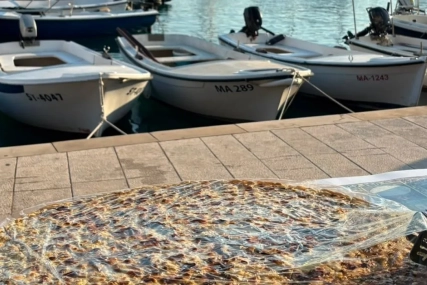 14. Sajam “Okusi Hrvatsku” još jednom pokazao bogatstvo domaće proizvodnje!