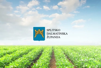 Splitsko-dalmatinska županija raspisala javne pozive za poljoprivrednike za 2026. godinu